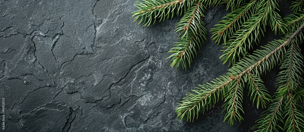 Aufkleber Copy space image featuring fir tree branches against a black slate backdrop for Christmas or New Year greetings