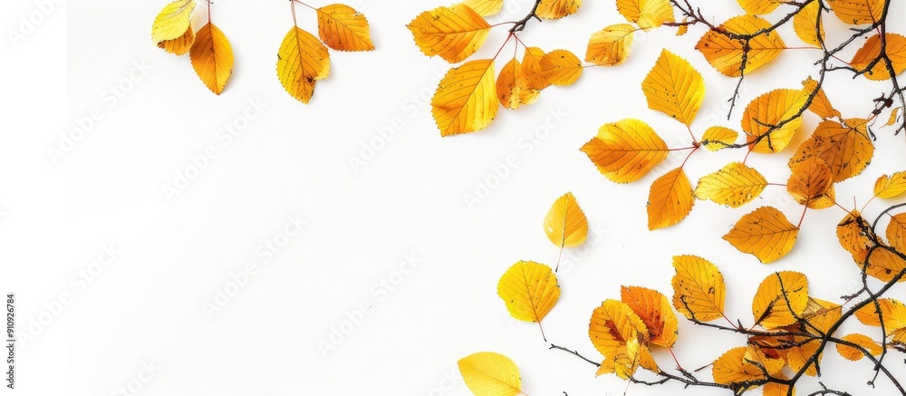 Poster An uncommon autumn season with yellow leaves on tree branches against a blank background creating a striking copy space image