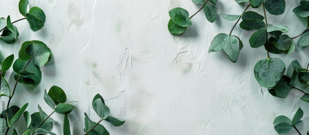 Aufkleber top view of white surface with eucalyptus leaves ideal for copy space image