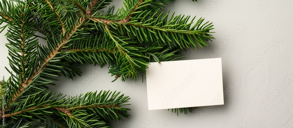 Leinwandbilder A green fir tree spruce branch is next to an empty business card on a colored background offering space for image insertion. Creative banner. Copyspace image