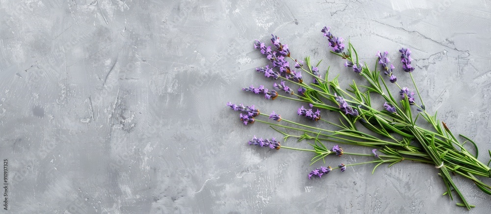 Aufkleber lavender herb sprigs arranged in a bunch on a grey background with copy space image