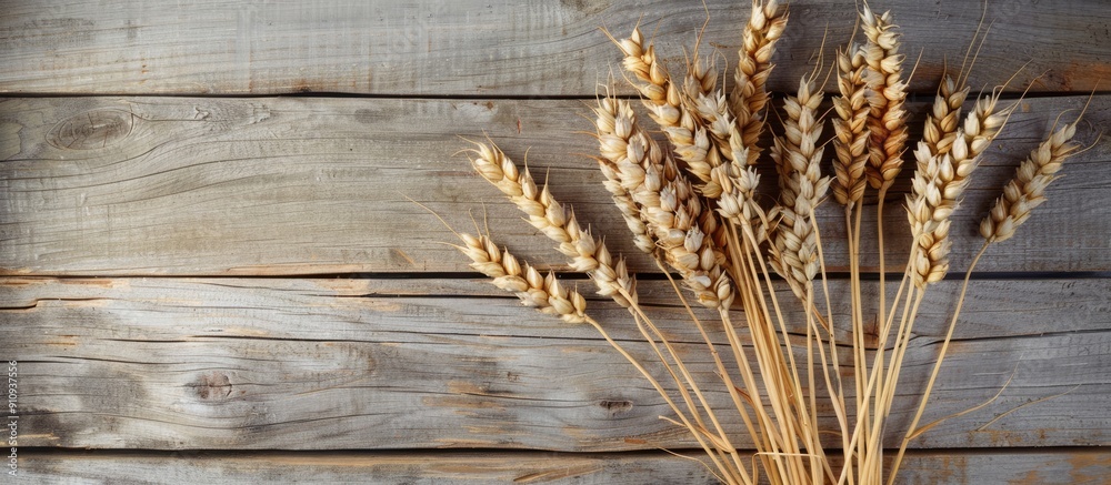 Poster wheat ears set on wooden backdrop depicting mediterranean diet ideal for copy space image