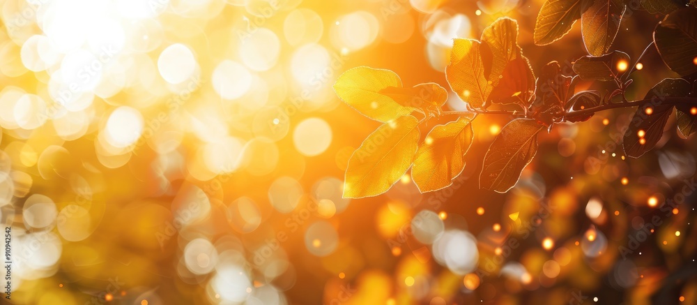 Poster copy space image featuring a sunny abstract summer background with bokeh and sun transitioning into 