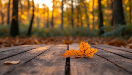 Autumn background with wood table and blurred autumn forest in the back light, for product display montage ,