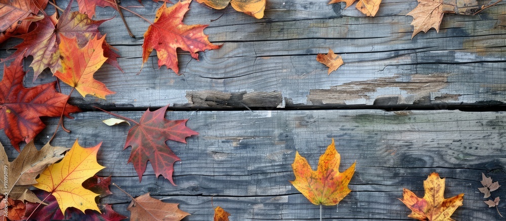 Fototapete Fall themed backdrop featuring multicolored leaves on a rustic wooden surface ideal for copy space image