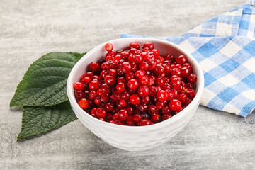 Ripe sweet wild organic cowberry