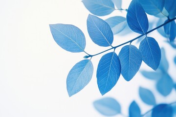 Obraz premium Blue Leaf Plant Close-Up