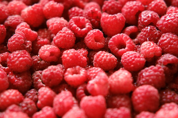 Sweet raspberry background. Full frame of fresh raspberries. Red ripe berry photo wallpaper closeup. Juicy berries. Vegetarian, vegan raw food. Organic bio product. From farm to table. Fruit pattern
