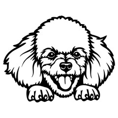 Peeking Poodle - Dog lover owner gift - Dog cut file - Peeking Dog Cut Stencil