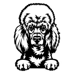 Peeking Poodle - Dog lover owner gift - Dog cut file - Peeking Dog Cut Stencil