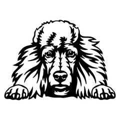 Peeking Poodle - Dog lover owner gift - Dog cut file - Peeking Dog Cut Stencil