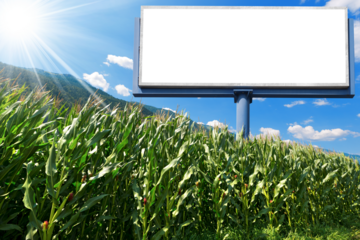 Mock-up of a large empty outdoor billboard with copy space in a corn field in a mountain landscape against a clear blue sky with clouds and sunbeams. Isolated on white or transparent background, png.
