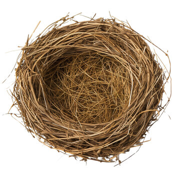 recommend clip art: Bird straw nest clip art