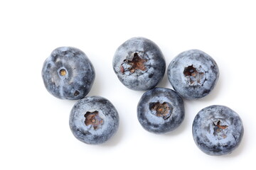 blueberries on white background