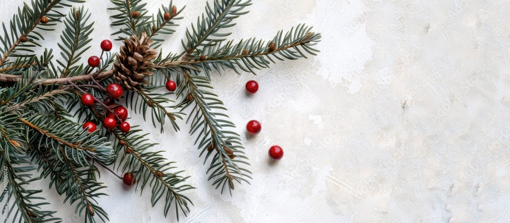 Poster spruce branch and christmas garnet fruit displayed against a textured white background with a large 