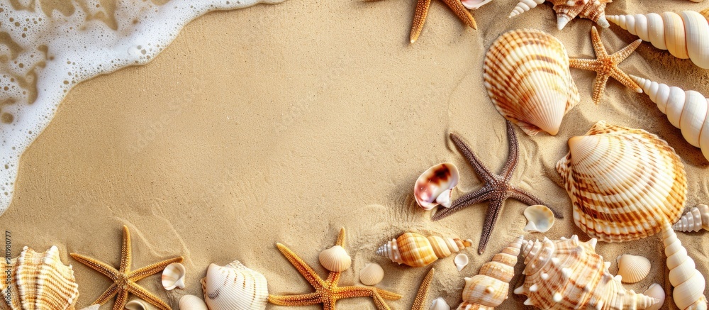 Aufkleber beach background with sea shells scattered on sand creating a picturesque scene with copy space imag