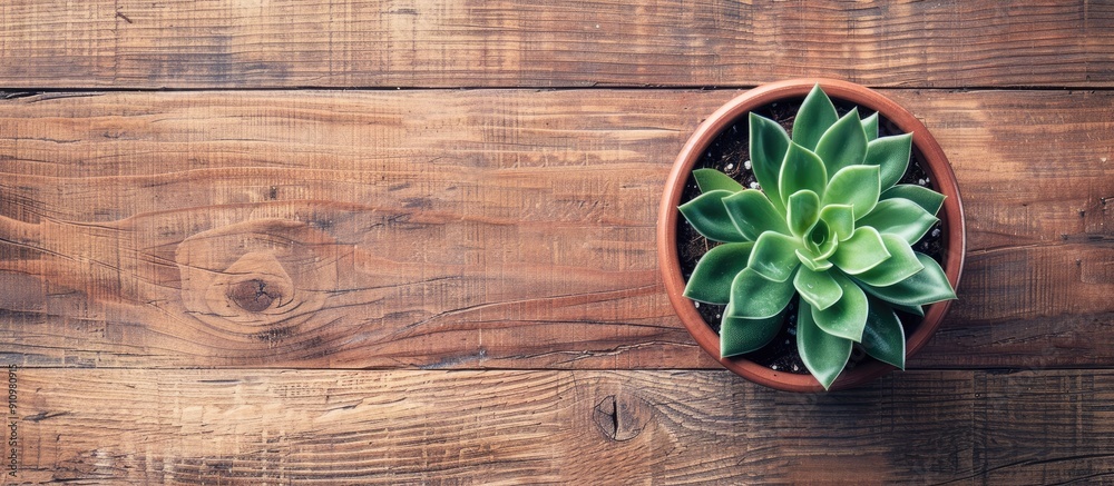 Poster Top view of a potted plant on a wooden surface with a simple and natural backdrop featuring a border and ample copy space image