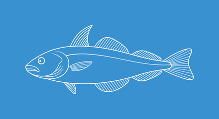 Haddock outline.  Isolated haddock on white background