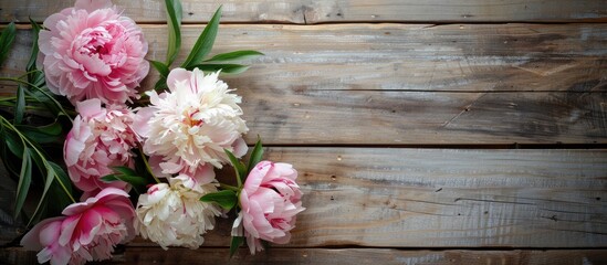 Floral peonies elegantly displayed on a rustic wooden background creating a visually appealing copy space image