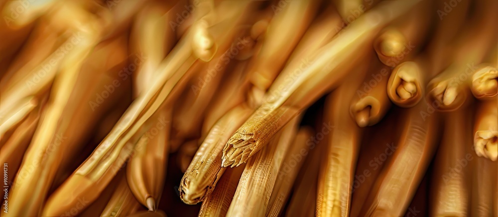 Poster close up of corn sticks with copy space image