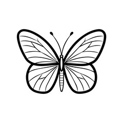 Obraz premium animal