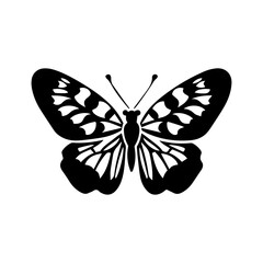 Obraz premium animal