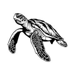 Fototapeta premium animal