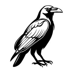 Fototapeta premium animals, types of animals, graphic design needs