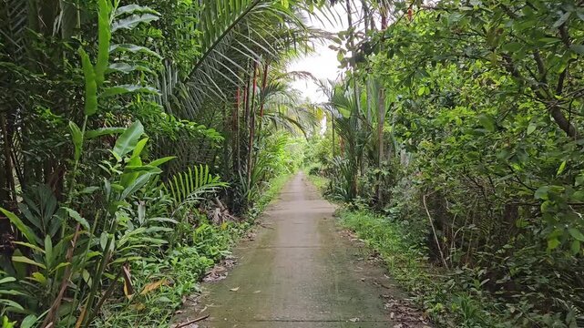 Narrow street in the village at  Mang Thit district, Vinh Long province, Mekong Delta Vietnam in the morning.