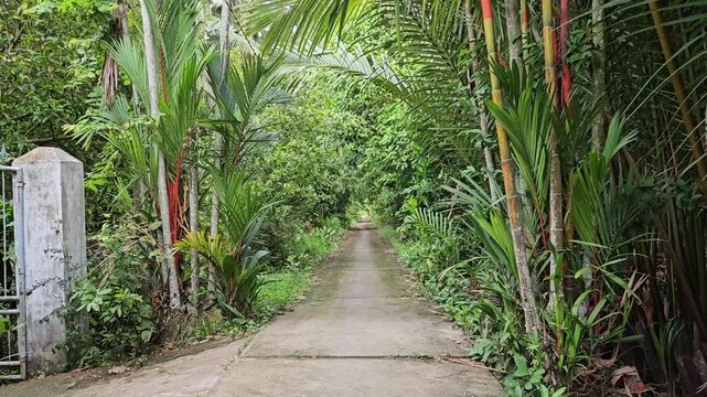 Narrow street in the village at  Mang Thit district, Vinh Long province, Mekong Delta Vietnam in the morning.