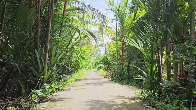Narrow street in the village at  Mang Thit district, Vinh Long province, Mekong Delta Vietnam in the morning.