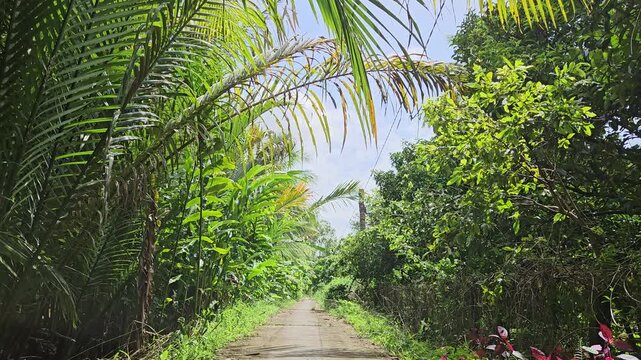 Narrow street in the village at  Mang Thit district, Vinh Long province, Mekong Delta Vietnam in the morning.
