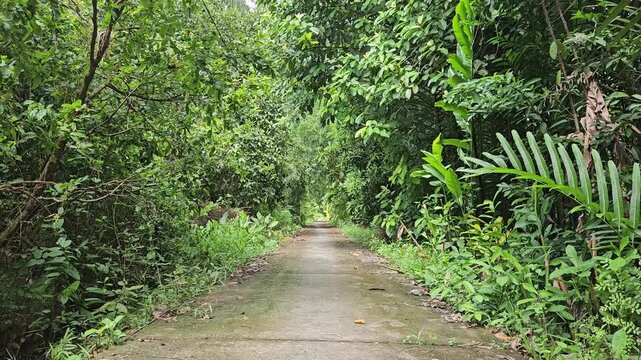  Narrow village street in countryside at Mang Thit district, Vinh Long province, Mekong Delta Vietnam in the morning.