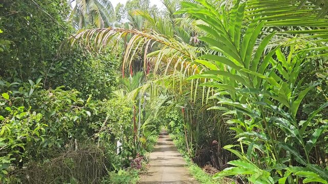 4k panning shot of narrow street in the village at  Mang Thit district, Vinh Long province, Mekong Delta Vietnam in the morning.