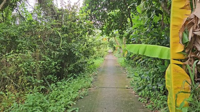 Narrow street in the village at  Mang Thit district, Vinh Long province, Mekong Delta Vietnam in the morning.