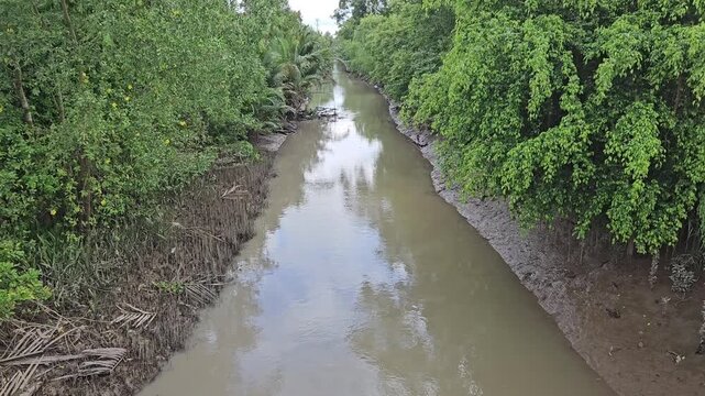 4k panning shot of small river and tropical forest at Mang Thit district, Vinh Long province, Vietnam. Tropical village landscape concept.