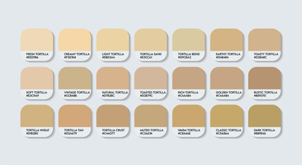 Tortilla Color Palette, Tortilla Color Guide Palette with Color Names. Catalog Samples of the Cream with RGB HEX codes and Names. Wood Color Palette Vector, Water-based paint Colors, and Fashion Cream