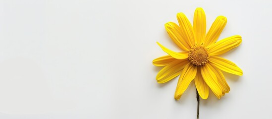 Yellow daisy flower clock displaying 2-hour time, placed in isolation for flat lay photography with empty space for text or design. image with copy space
