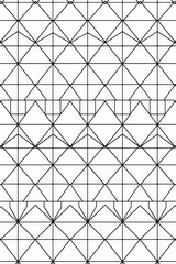 Fototapeta premium This image presents a complex geometric pattern with a combination of tiles and diamond shapes outlined in black on a white background, creating a detailed and visually engaging design.