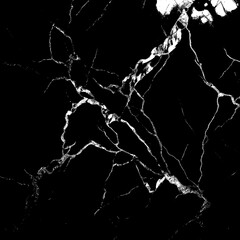 Elegant Black Marble Texture from Thailand