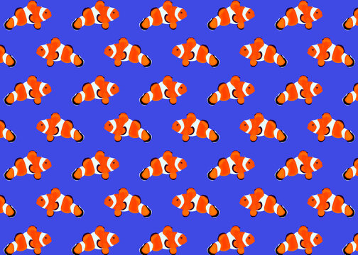 Illustration of anemonefish on blue background
