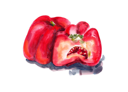https://submit.shutterstock.com/pending?type=photo#:~:text=Paprika%2C%20vegetables%20for%20cooking.%20Watercolor%20on%20paper