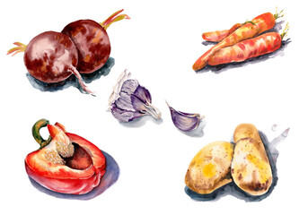 Vegetables set for cooking. Watercolor on paper