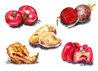 Vegetables set for cooking. Watercolor on paper