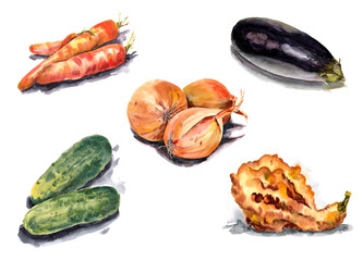 Vegetables set for cooking. Watercolor on paper