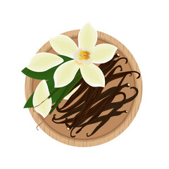 Vector illustration logo clip art Top View Vanilla flower and pods