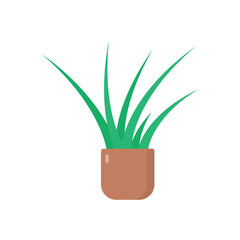 Yucca vector icon