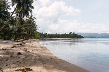 Beautiful tropical island with palm trees and beach