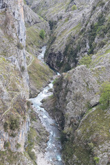 Picos de Europa (Asturias)
