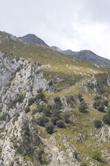 Obraz premium Picos de Europa (Asturias)